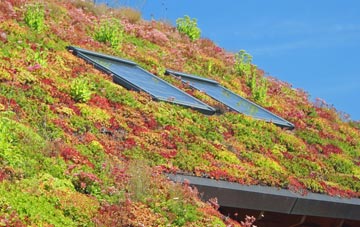 Greenstead living roof systems